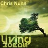 Been Thinking - Chris Nunn&Omega Sparx&Christopher Nunn