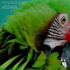 Astaxa (Deep Piano Mix) - Francisco Ruxo