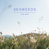 Seaweeds - Carl Borg