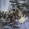 Bud and Light (Explicit) - Bdawg Madeira&Da Sphecialist