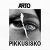 Pikkusisko (Explicit) - Arto