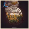 JNGL Fire - Lost City