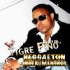 Reggaeton Robotico (Instrumental) - Tigre Fino