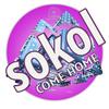 Come Home (Original Mix) - SOKOl