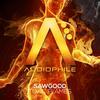 Toxic (Eliminate Remix) - Sawgood&Eliminate