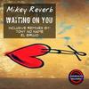 Waiting On You - Mikey Reverb