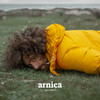 Arnica - Gio Evan