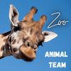 Palette - Animal Team