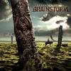 7 Ahimsa - Brainstorm