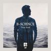 True Soul (Original Mix) - B-Science