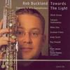 Towards The Light - Rob Buckland