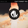 Can't Forget You - Theis EZ