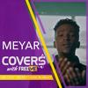 Fake Love (Cover) - FreemeTV&Meyar