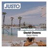 Ibiza Horns (Original Mix) - David Owens