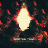 Somebody But Themselves - Industrial Twins
