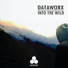 Into The Wild (Original Mix) - Dataworx