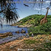 Living with Changes - Stefano Giardiniere