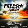 Freedom Horns - Donstrumental&Seani B