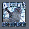 I'm Still Here - Mr.Knightowl