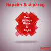 Two Wrongs Make A Right (Qoob Remix) - Napalm&D-phrag