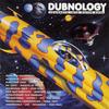 Brixton (Dub Mix) - Renegade Soundwave