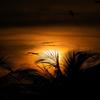 Missing You (feat. Richard Tucker) - Kevin Harrington Xperiment&Richard Tucker