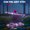 Can You Just Stay (Explicit) - Lil Ak