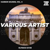 Wolf (Original Mix) - Ignacio Var