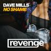 No Shame (Dub Mix) - Dave Mills