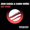 Say What - Jesse Garcia&Dario Nunez