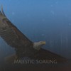 Majestic Soaring - Mott Jordan