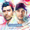 Voices (feat. TZAR) - KSHMR&Brooks&TZAR