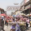 This Year - ZyGee