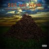 See Me Now(feat. Troublemaker & Grump) (Explicit) - Novacaine&Troublemaker&Grump