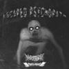 ESCAPED PSYCHOPATH (feat. NXTIAMRXFNI|Explicit) - P4NDAMXNE&NXTIAMRXFNI