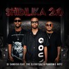 shibilika 2.0 - DJ Sandiso&Pandemic boyz&The Elevatorz