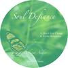 Don't Ever Change - Soul Defiance