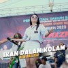 Ikan Dalam Kolam - New Raxzasa