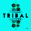 Silver Dodge (Original Mix) - Tomy Breach