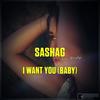 I Want You(Baby) (Radio Edit) - SashaG&Brinley