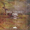 Spida (Michael Gin Remix) - Marek Tripkowsky&Michael Gin