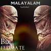 Malayalam (Original Mix) - BIZ&Fedmate