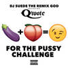 The Pussy Challenge (Explicit) - DJ Suede The Remix God&Qwote