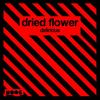 Delirious - Dried Flower