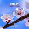 New Direction (Original Mix) - Calippo