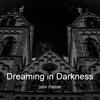 Dreaming in Darkness - John Palmer