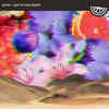 LOST IN THE DESERT (Original Mix) - Jayem