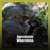 Whereof Protuberance - Laia Tser