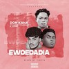 Ewoedadia - Don Kana&billionz&Mawuli Younggod