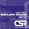 Moonlight Shadow (Original Mix) - SlaviX